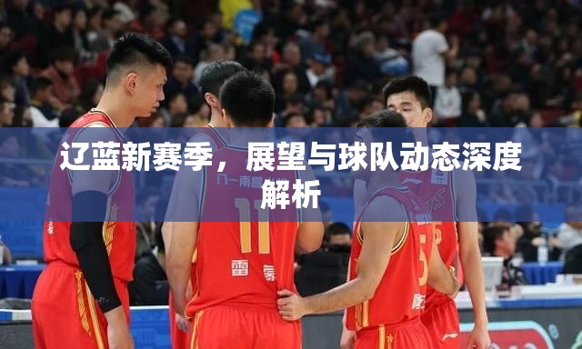 遼藍(lán)新賽季，展望與球隊(duì)動(dòng)態(tài)深度解析