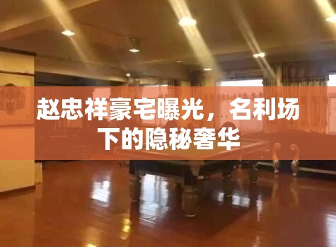 趙忠祥豪宅曝光，名利場(chǎng)下的隱秘奢華