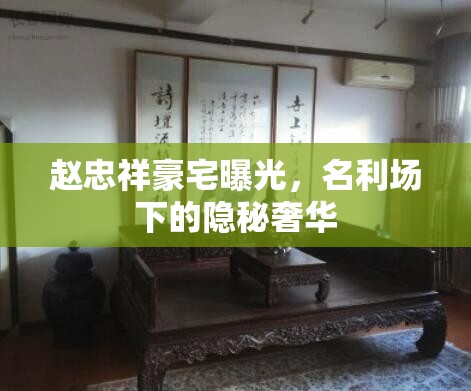 趙忠祥豪宅曝光，名利場(chǎng)下的隱秘奢華