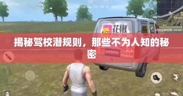 揭秘駕校潛規(guī)則，那些不為人知的秘密