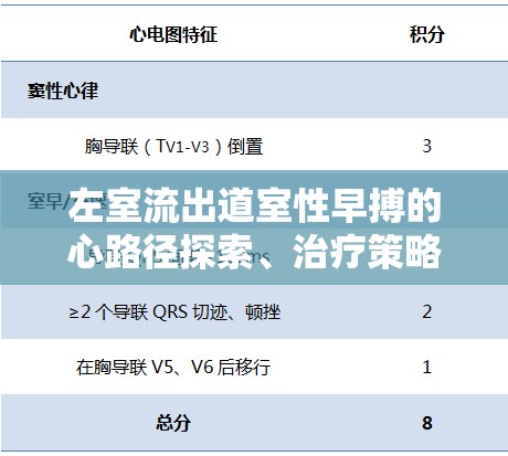 左室流出道室性早搏的心路徑探索、治療策略及最新進展