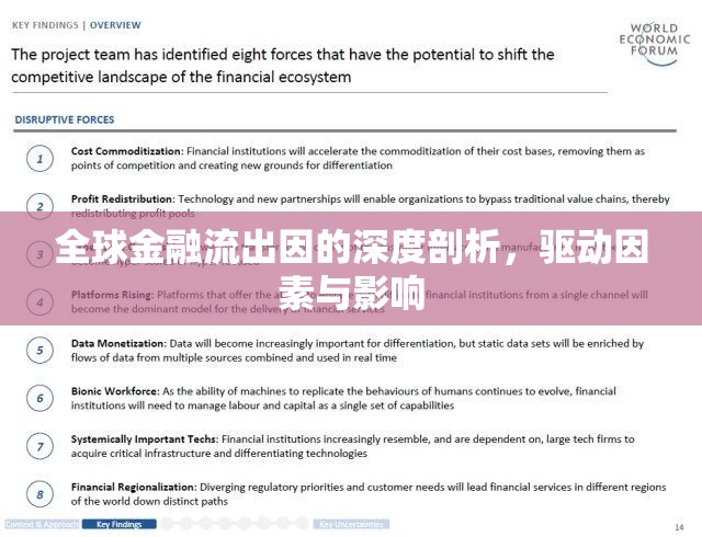 全球金融流出因的深度剖析，驅(qū)動(dòng)因素與影響