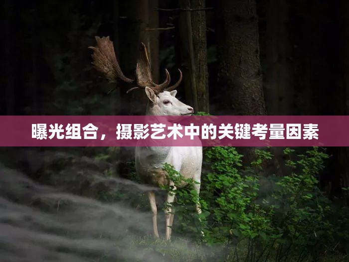 曝光組合，攝影藝術(shù)中的關(guān)鍵考量因素