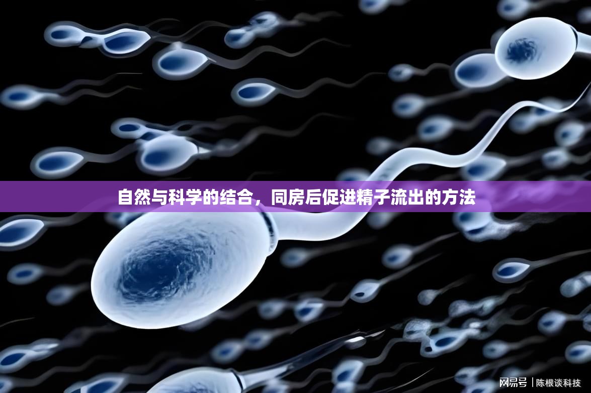 自然與科學(xué)的結(jié)合，同房后促進(jìn)精子流出的方法
