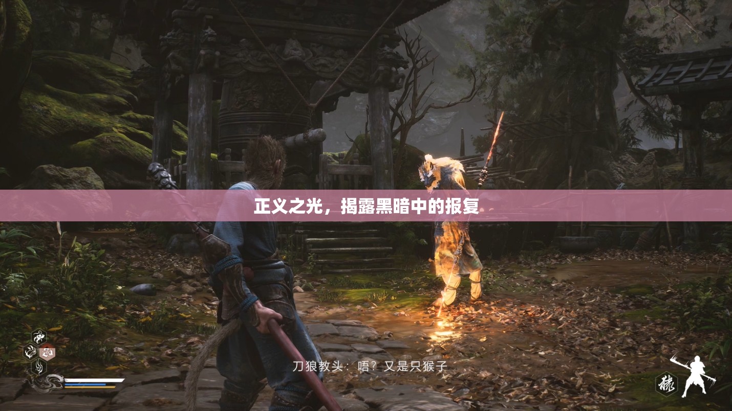 正義之光，揭露黑暗中的報復(fù)