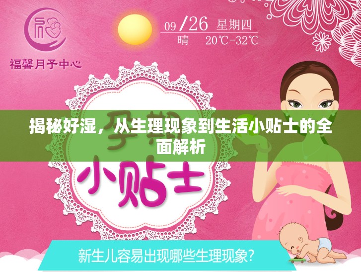 揭秘好濕，從生理現(xiàn)象到生活小貼士的全面解析