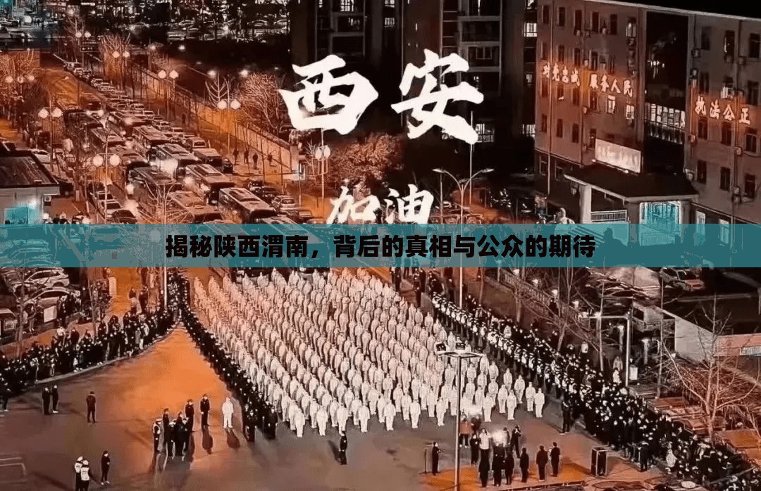 揭秘陜西渭南，背后的真相與公眾的期待