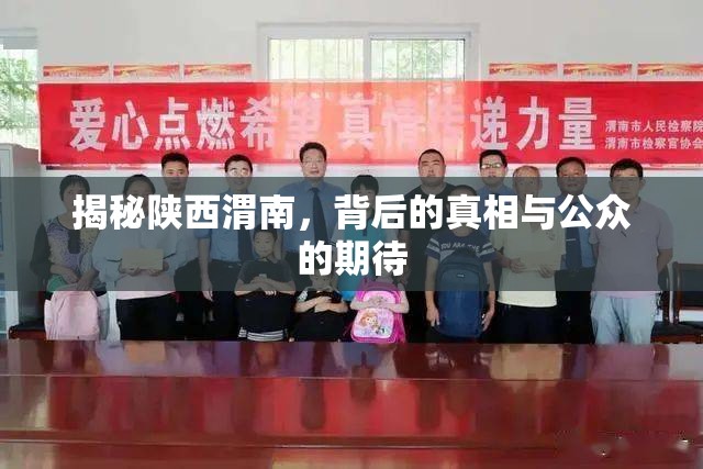 揭秘陜西渭南，背后的真相與公眾的期待