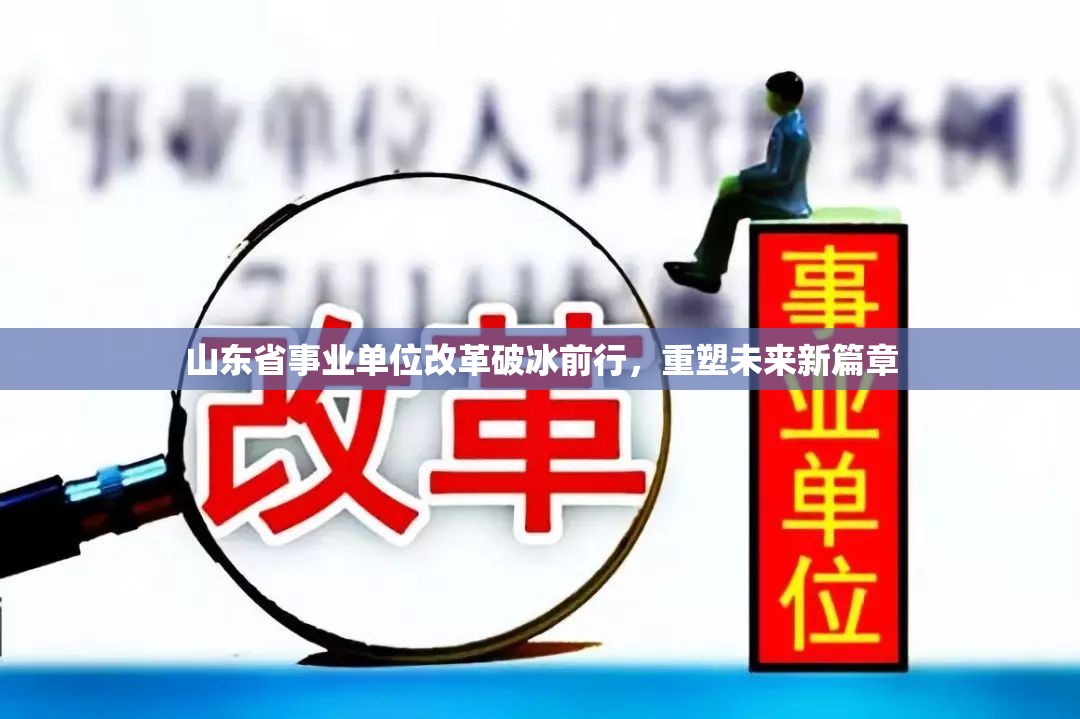 山東省事業(yè)單位改革破冰前行，重塑未來新篇章