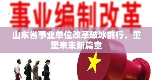 山東省事業(yè)單位改革破冰前行，重塑未來新篇章