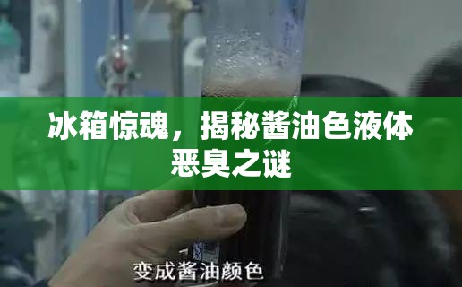 冰箱驚魂，揭秘醬油色液體惡臭之謎