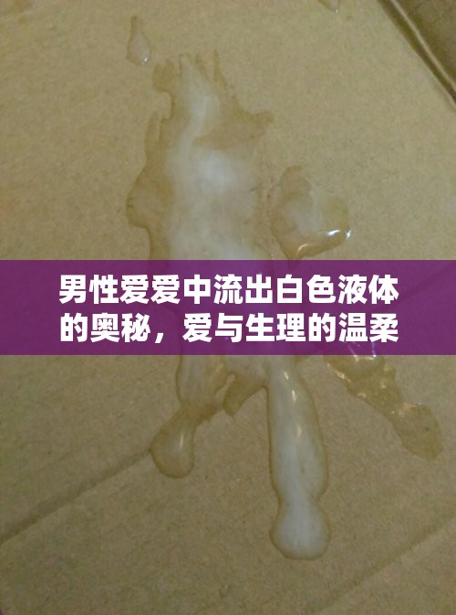 男性愛愛中流出白色液體的奧秘，愛與生理的溫柔交織