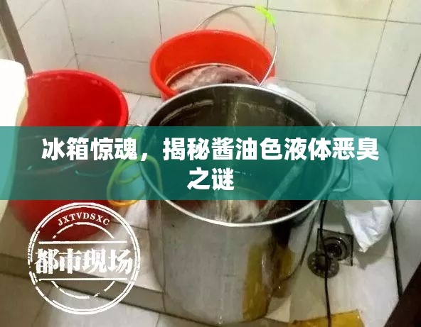 冰箱驚魂，揭秘醬油色液體惡臭之謎