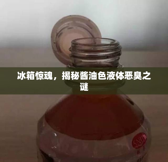 冰箱驚魂，揭秘醬油色液體惡臭之謎