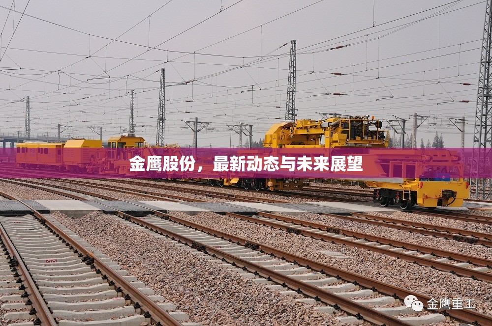 金鷹股份，最新動態(tài)與未來展望