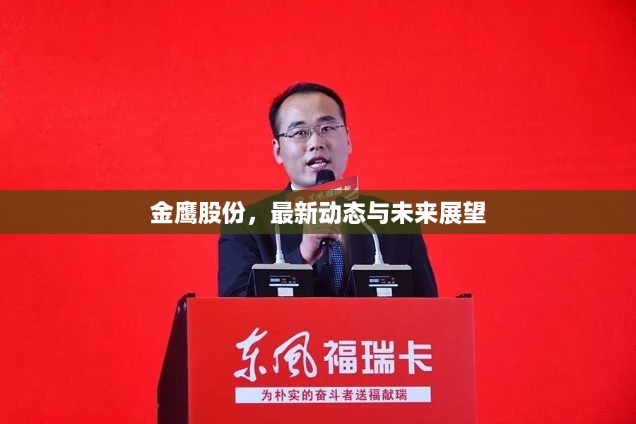 金鷹股份，最新動態(tài)與未來展望