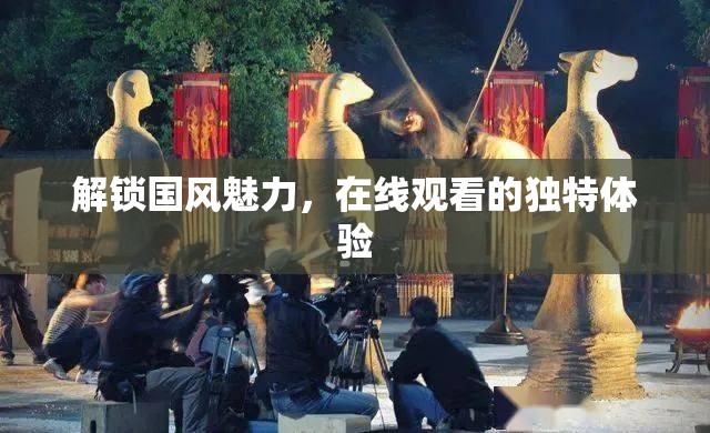 解鎖國風(fēng)魅力，在線觀看的獨(dú)特體驗(yàn)