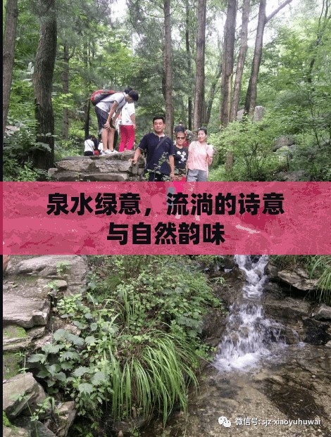泉水綠意，流淌的詩意與自然韻味