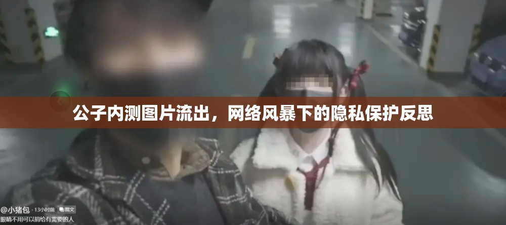 公子內(nèi)測圖片流出，網(wǎng)絡(luò)風(fēng)暴下的隱私保護(hù)反思