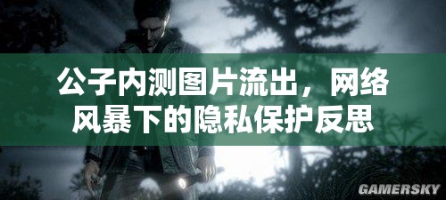 公子內(nèi)測圖片流出，網(wǎng)絡(luò)風(fēng)暴下的隱私保護(hù)反思