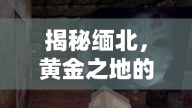 揭秘緬北，黃金之地的陰暗面紗