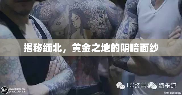揭秘緬北，黃金之地的陰暗面紗