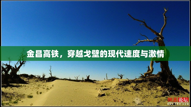 金昌高鐵，穿越戈壁的現(xiàn)代速度與激情