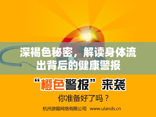 深褐色秘密，解讀身體流出背后的健康警報(bào)