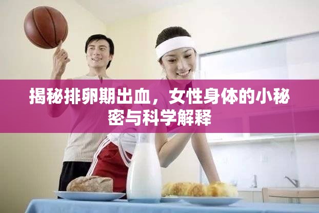 揭秘排卵期出血，女性身體的小秘密與科學解釋