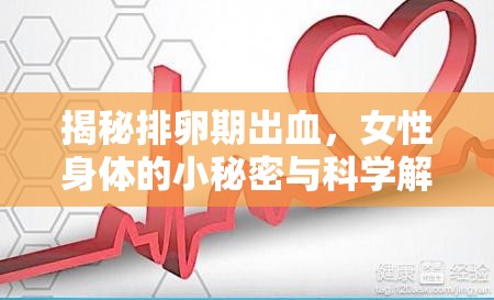 揭秘排卵期出血，女性身體的小秘密與科學解釋