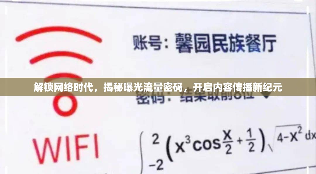 解鎖網(wǎng)絡(luò)時(shí)代，揭秘曝光流量密碼，開(kāi)啟內(nèi)容傳播新紀(jì)元
