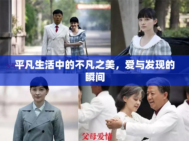 平凡生活中的不凡之美，愛與發(fā)現(xiàn)的瞬間