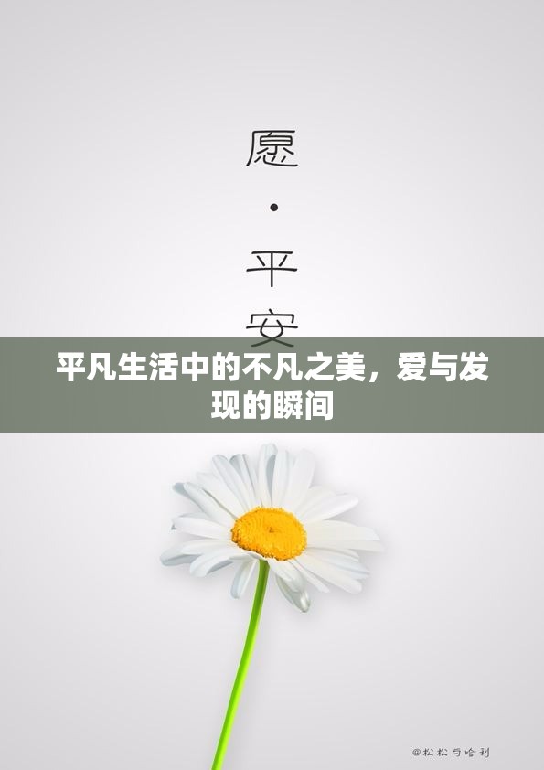 平凡生活中的不凡之美，愛與發(fā)現(xiàn)的瞬間