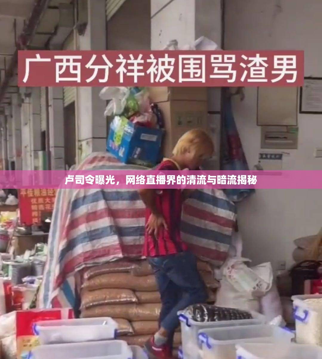 盧司令曝光，網(wǎng)絡(luò)直播界的清流與暗流揭秘