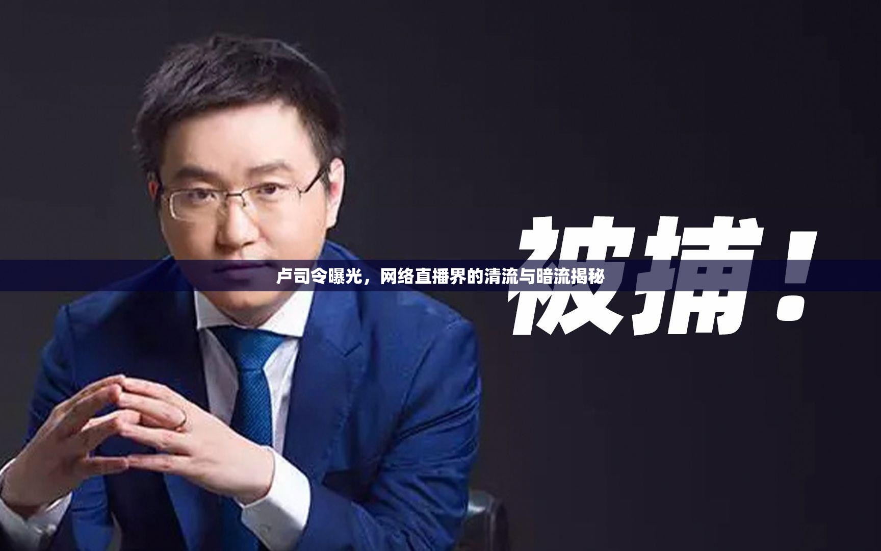 盧司令曝光，網(wǎng)絡(luò)直播界的清流與暗流揭秘