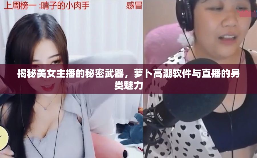 揭秘美女主播的秘密武器，蘿卜高潮軟件與直播的另類魅力