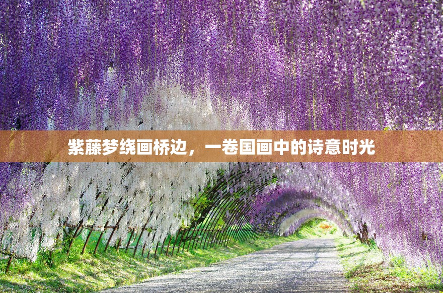 紫藤夢(mèng)繞畫橋邊，一卷國(guó)畫中的詩(shī)意時(shí)光