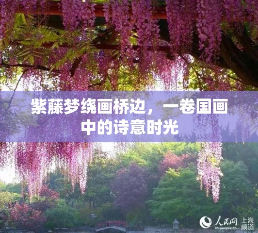 紫藤夢(mèng)繞畫橋邊，一卷國(guó)畫中的詩(shī)意時(shí)光