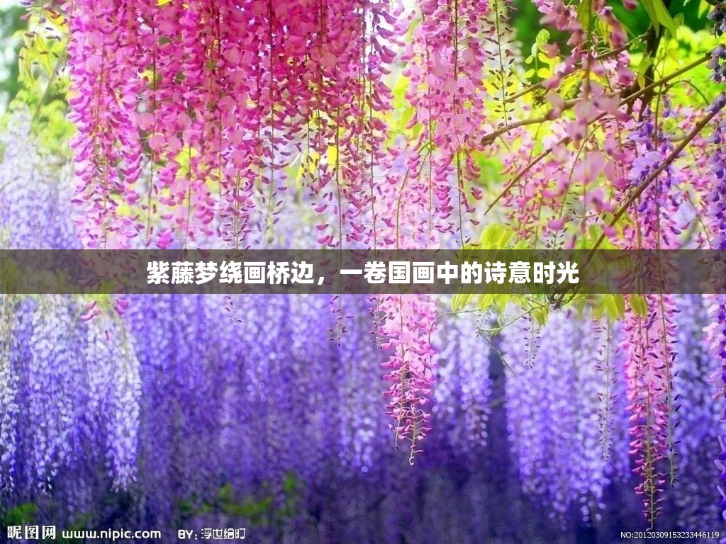 紫藤夢(mèng)繞畫橋邊，一卷國(guó)畫中的詩(shī)意時(shí)光