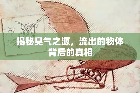 揭秘臭氣之源，流出的物體背后的真相