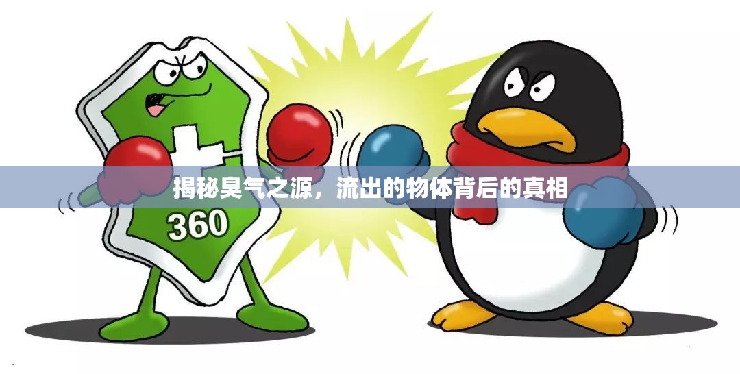 揭秘臭氣之源，流出的物體背后的真相