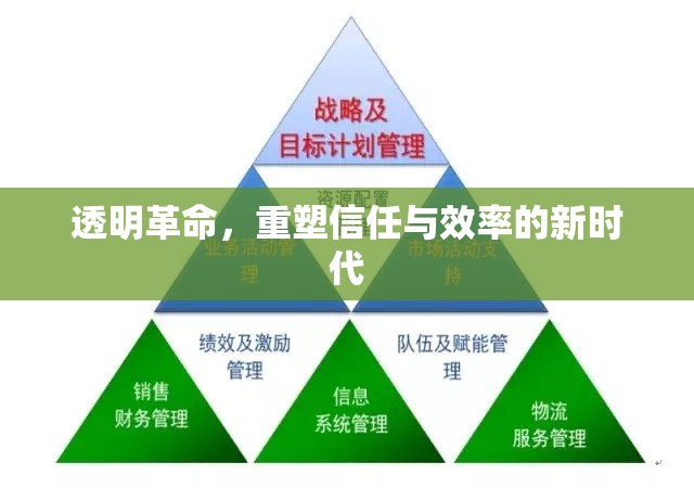 透明革命，重塑信任與效率的新時代