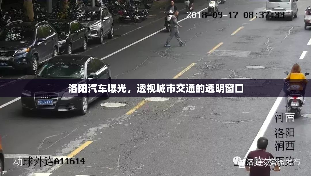洛陽汽車曝光，透視城市交通的透明窗口