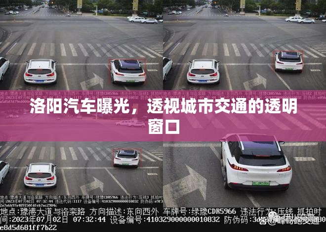 洛陽汽車曝光，透視城市交通的透明窗口