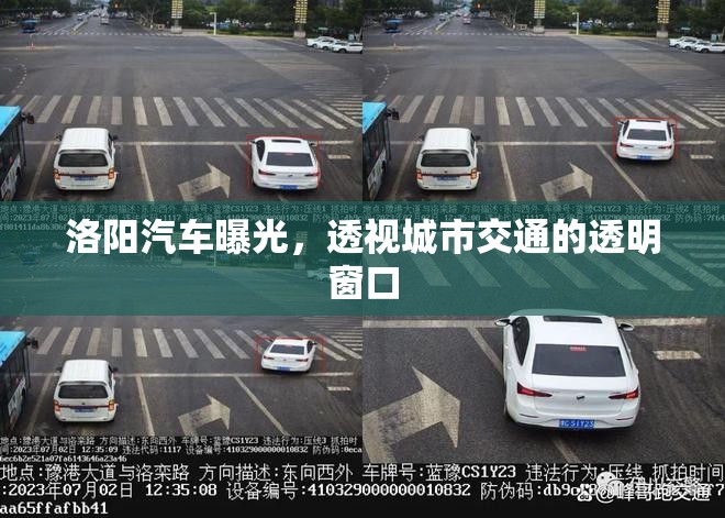 洛陽汽車曝光，透視城市交通的透明窗口