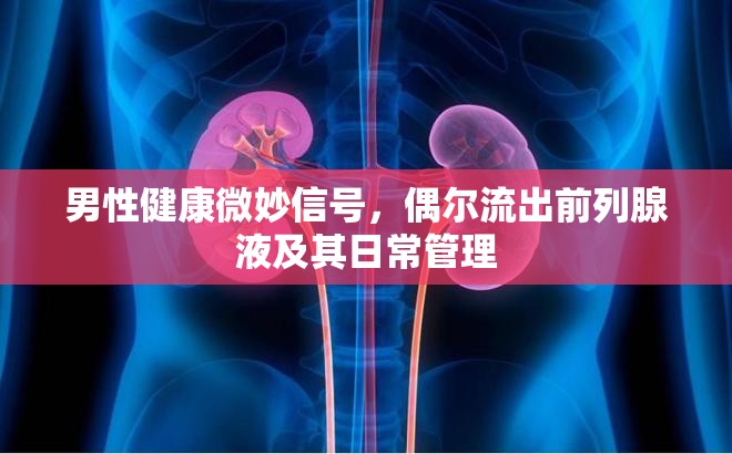 男性健康微妙信號(hào)，偶爾流出前列腺液及其日常管理