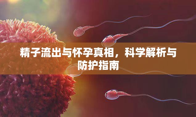 精子流出與懷孕真相，科學(xué)解析與防護(hù)指南