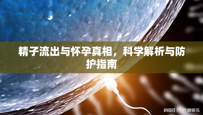 精子流出與懷孕真相，科學(xué)解析與防護(hù)指南