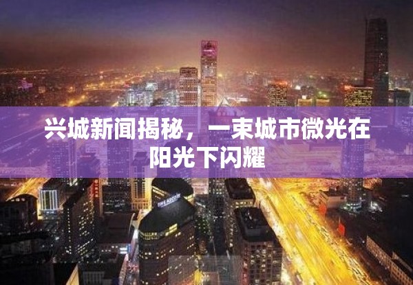 興城新聞揭秘，一束城市微光在陽(yáng)光下閃耀