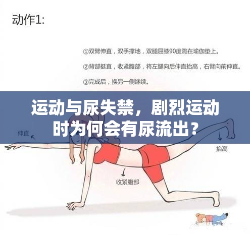 運(yùn)動(dòng)與尿失禁，劇烈運(yùn)動(dòng)時(shí)為何會(huì)有尿流出？